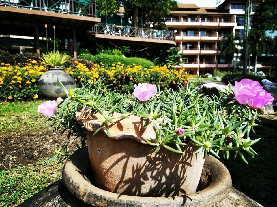 Arayana Phupimarn Resort & Spa Pak Chong Dış mekan fotoğraf