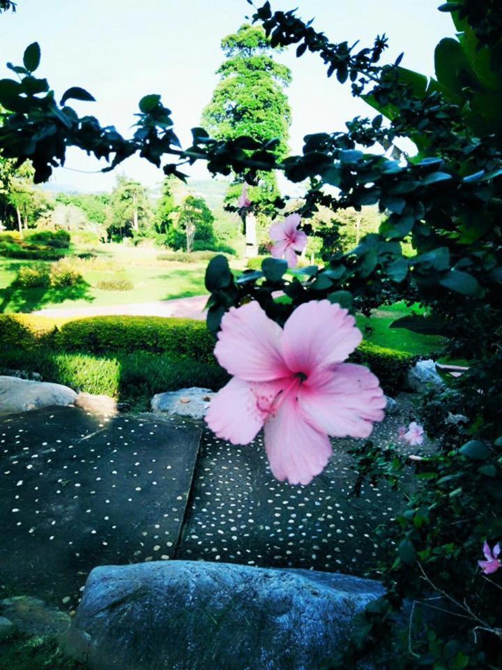 Arayana Phupimarn Resort & Spa Pak Chong Dış mekan fotoğraf